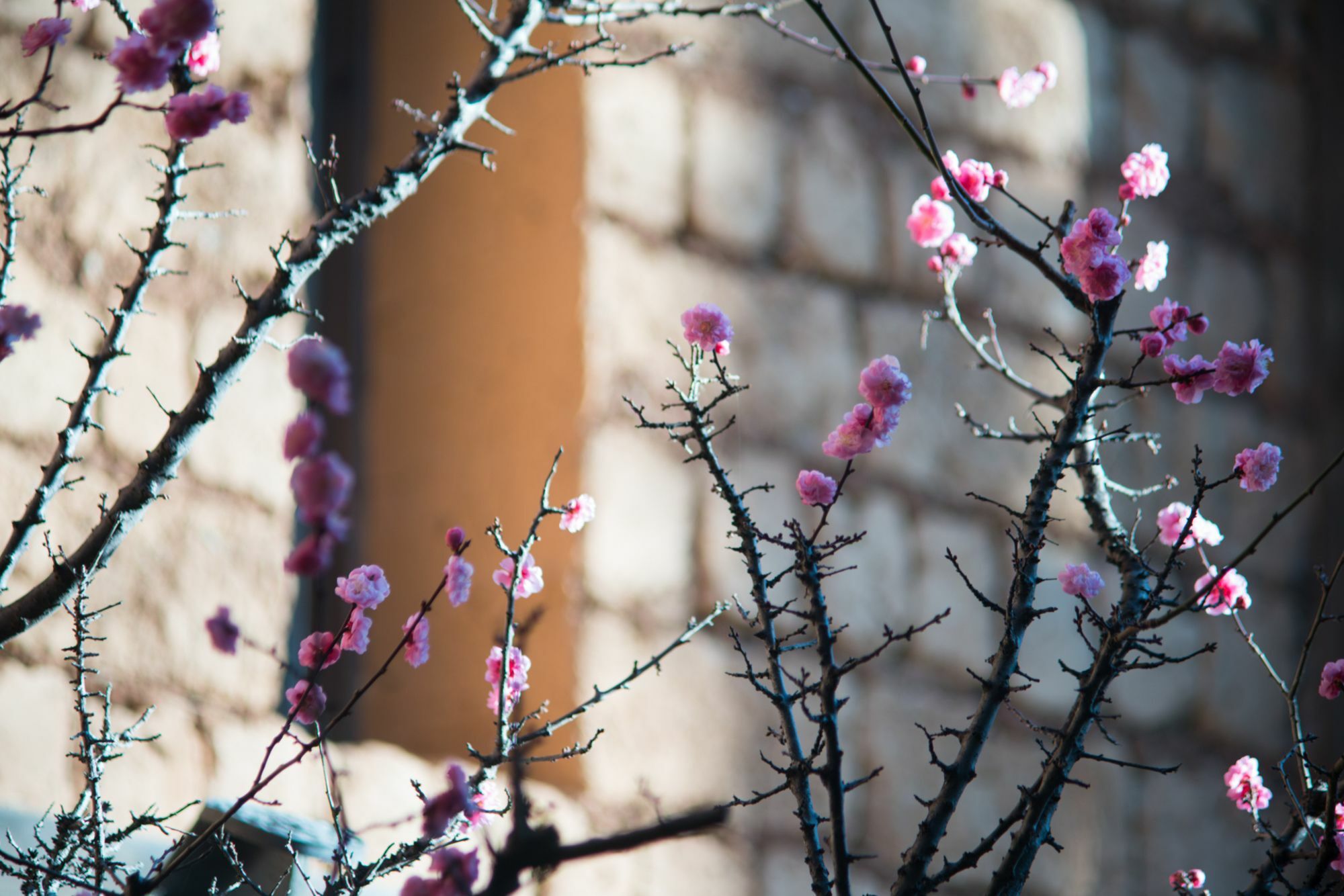 Lijiang Trustay Heartisan Boutique Hotel & Resort Экстерьер фото